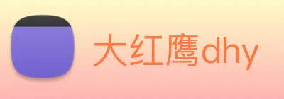 大红鹰dhy Logo